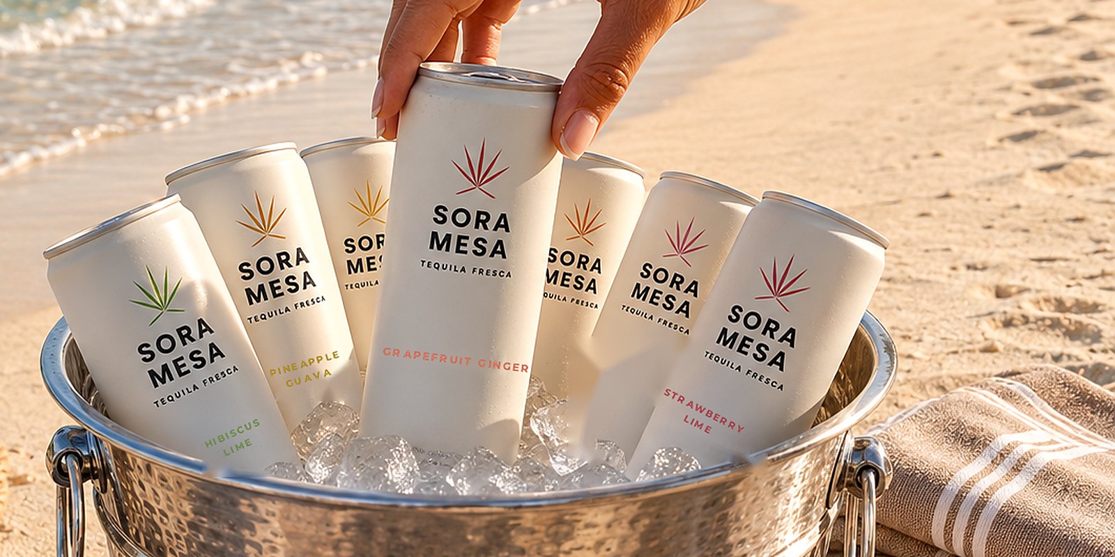 Sora Mesa cans on ice in a bucket at the beach